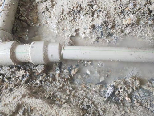What should I do if there is a leak in my home's sewer pipe? How should I fix it?